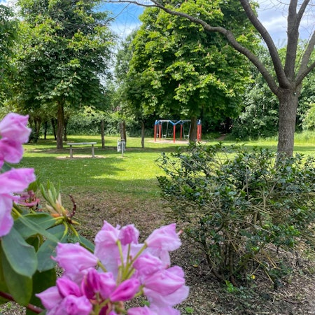 20220519-nip-ber-gruene-lunge-2