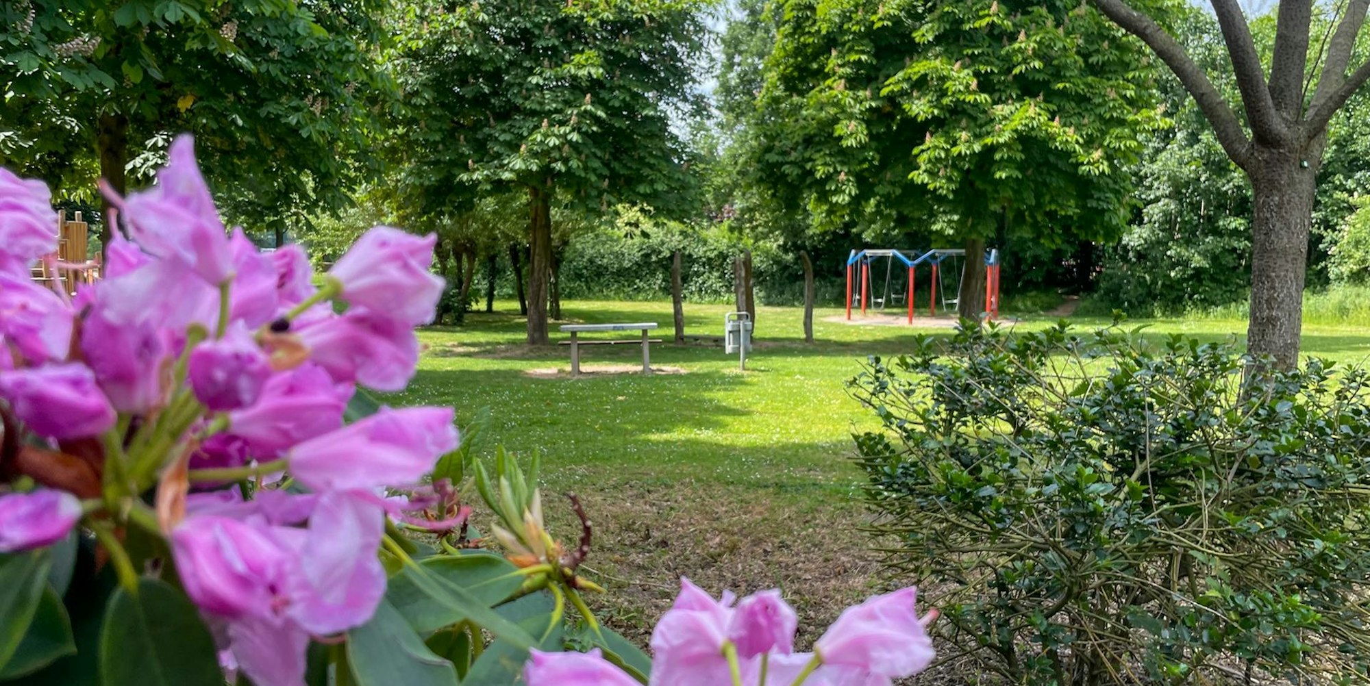 20220519-nip-ber-gruene-lunge-2