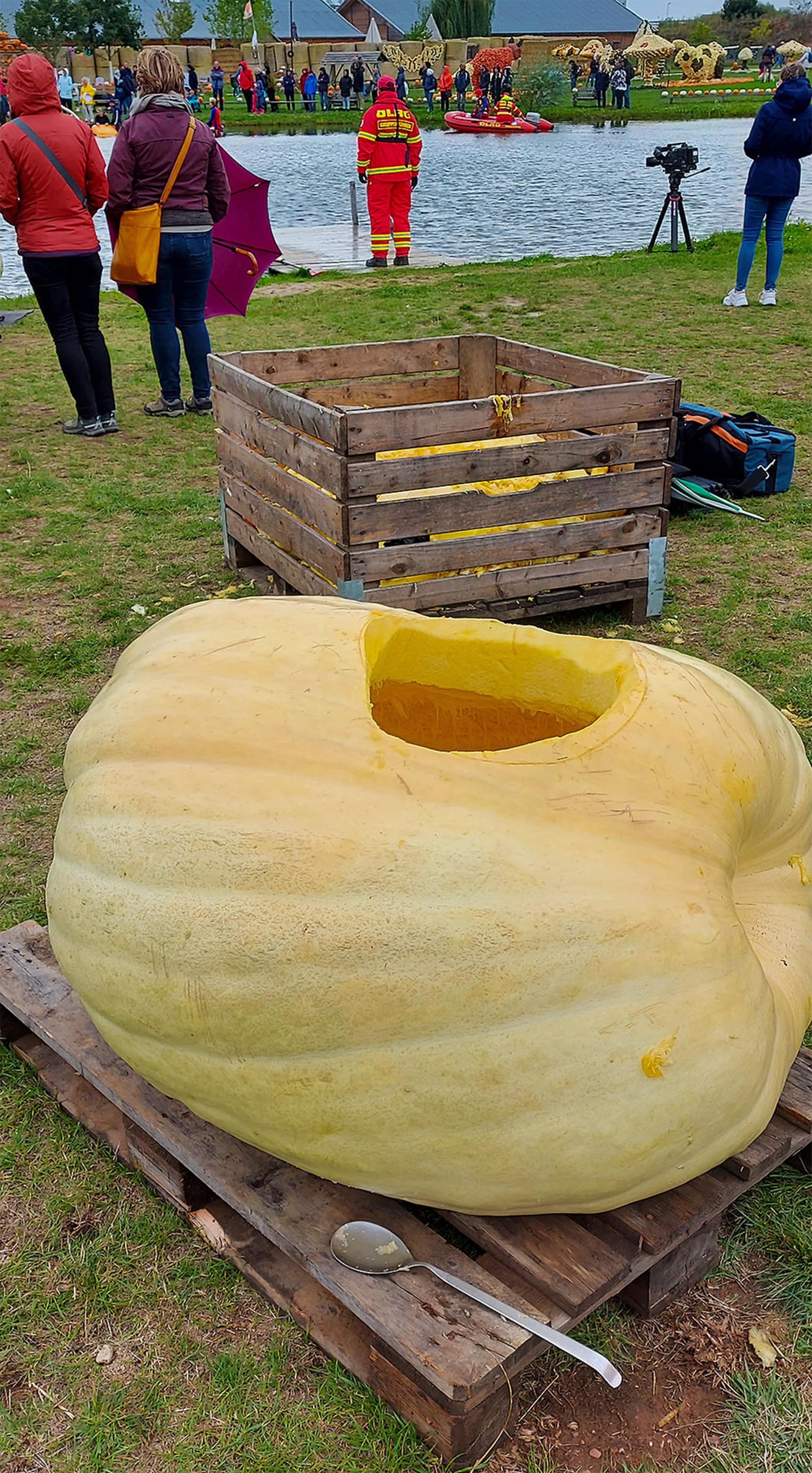 Neuer Inhalt