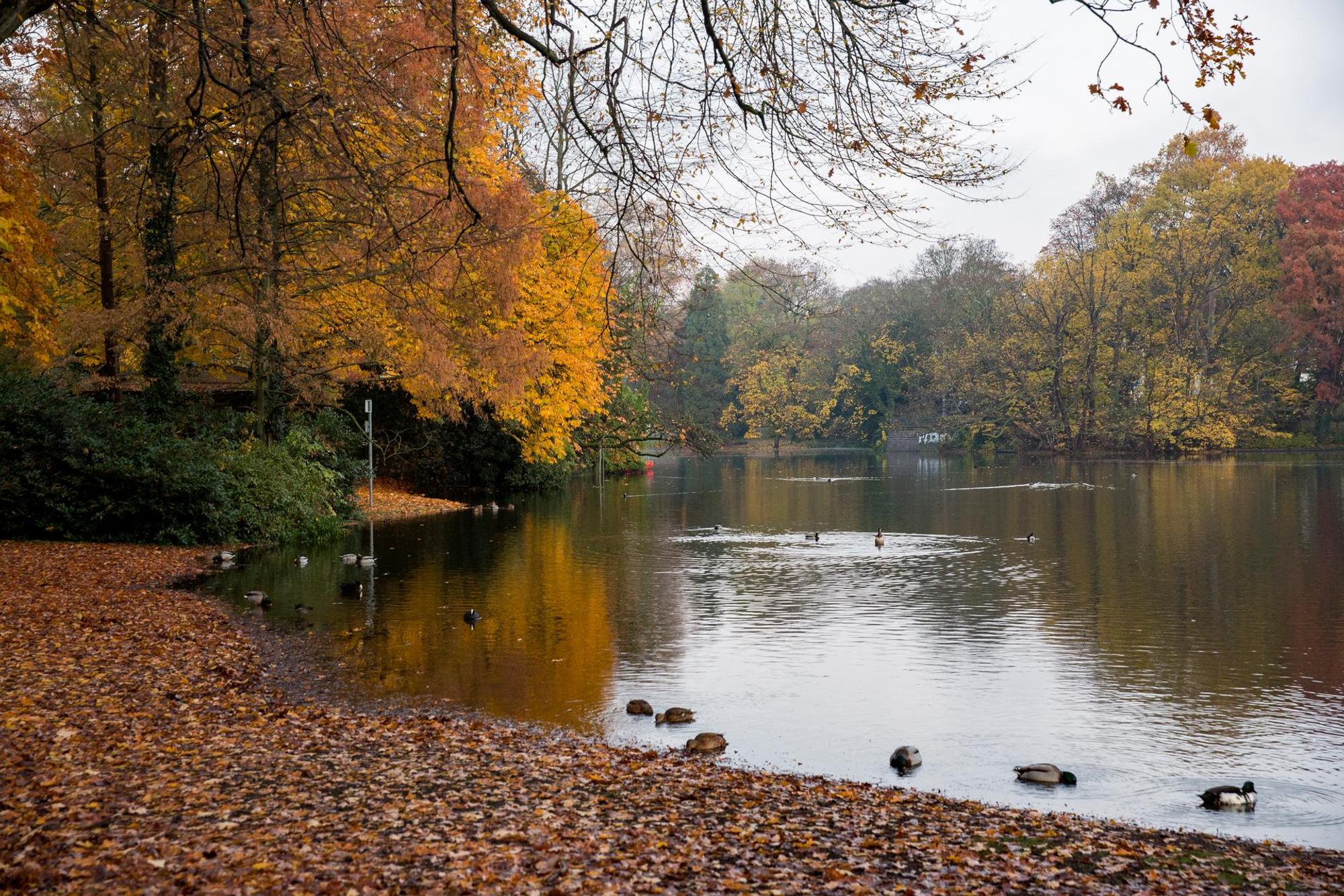 Volksgarten2019