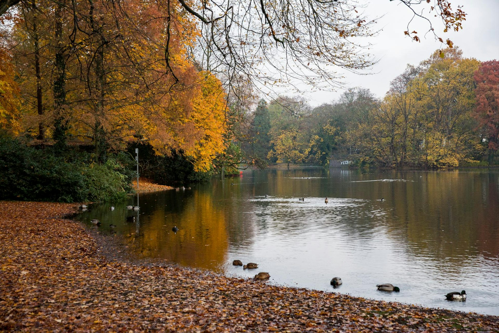 Volksgarten2019