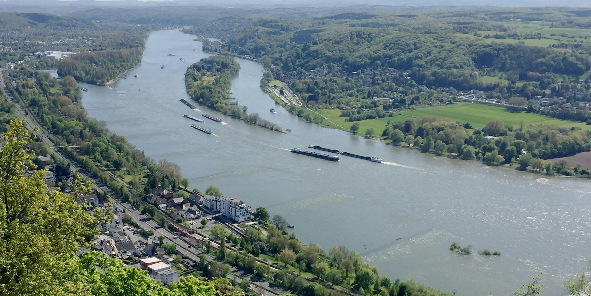 Heimatcheck Königswinter