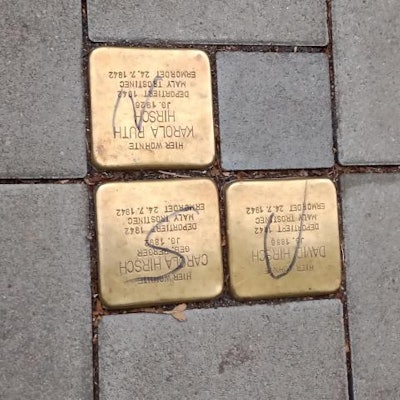 JPEG_20211030_095634_4824590743083039482