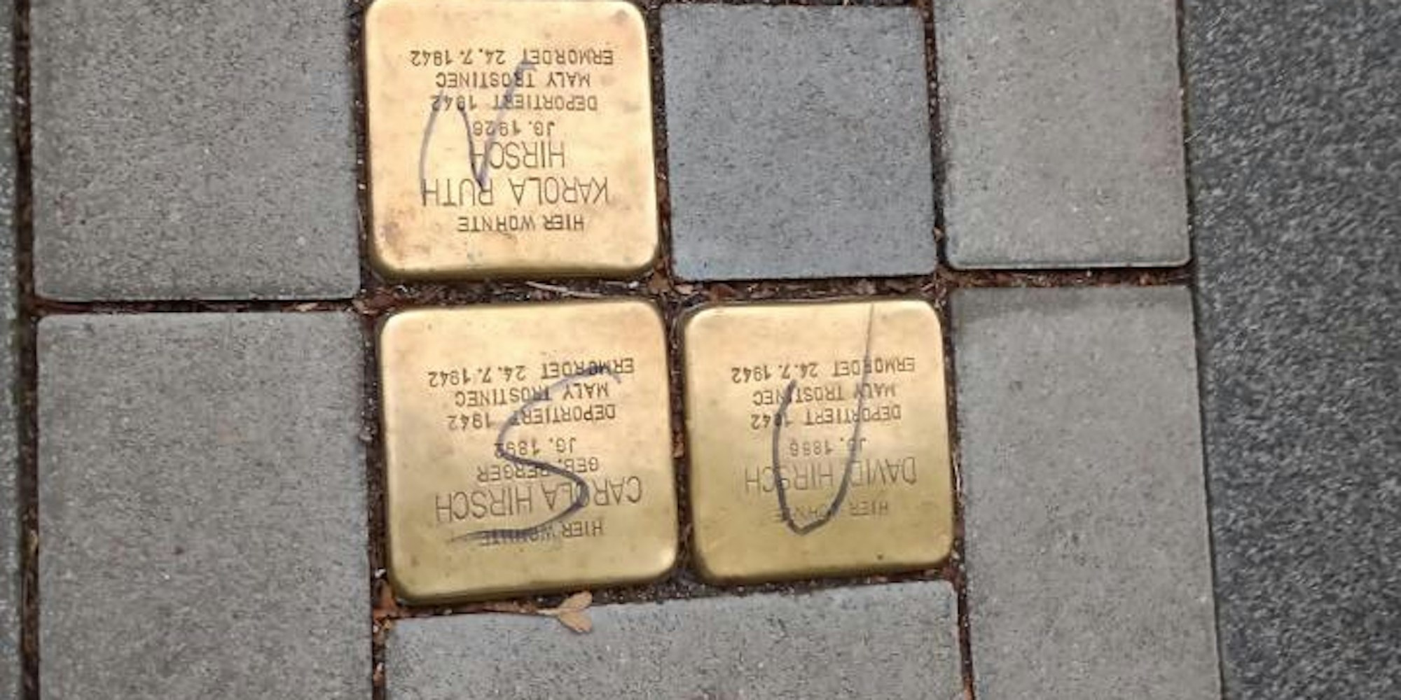 JPEG_20211030_095634_4824590743083039482