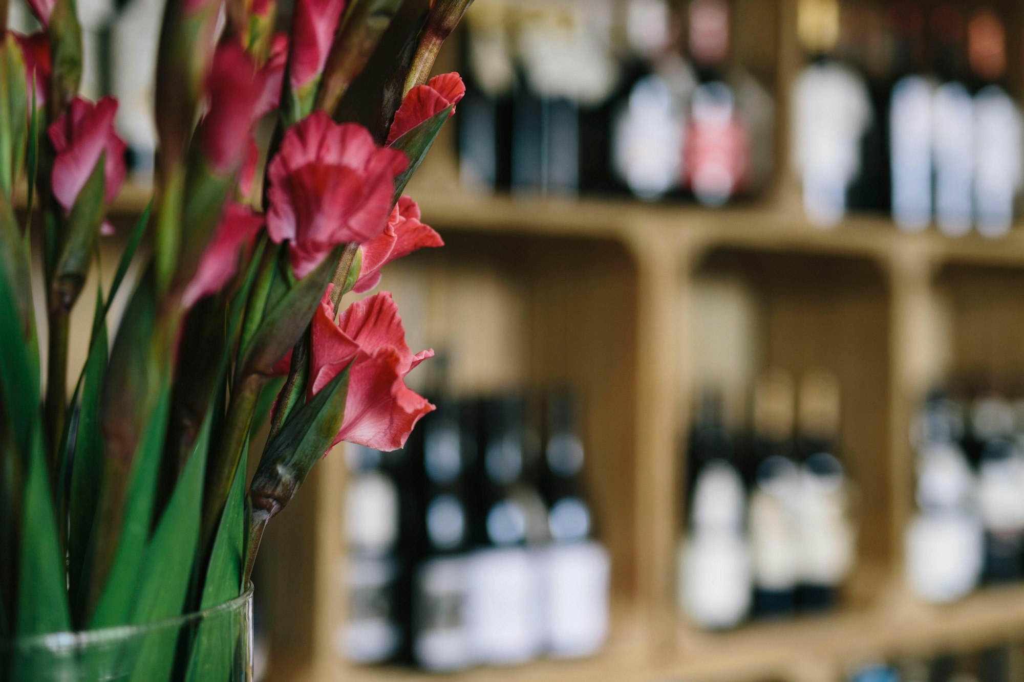 Gastro_Wiggebach-8911