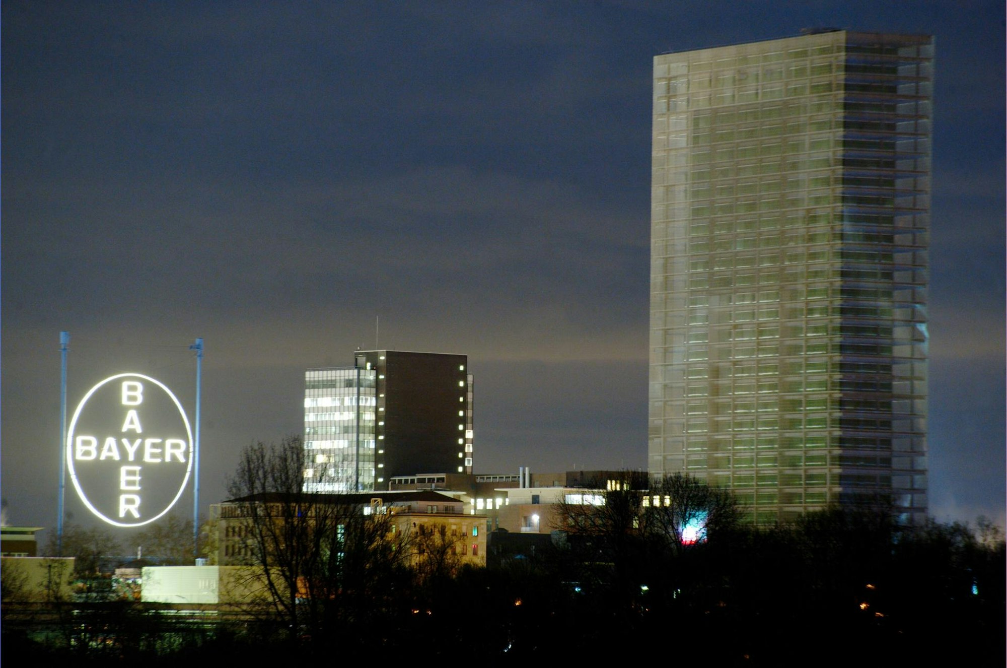 bayerkreuz_2010_rar_rle_03312010_alf_8397