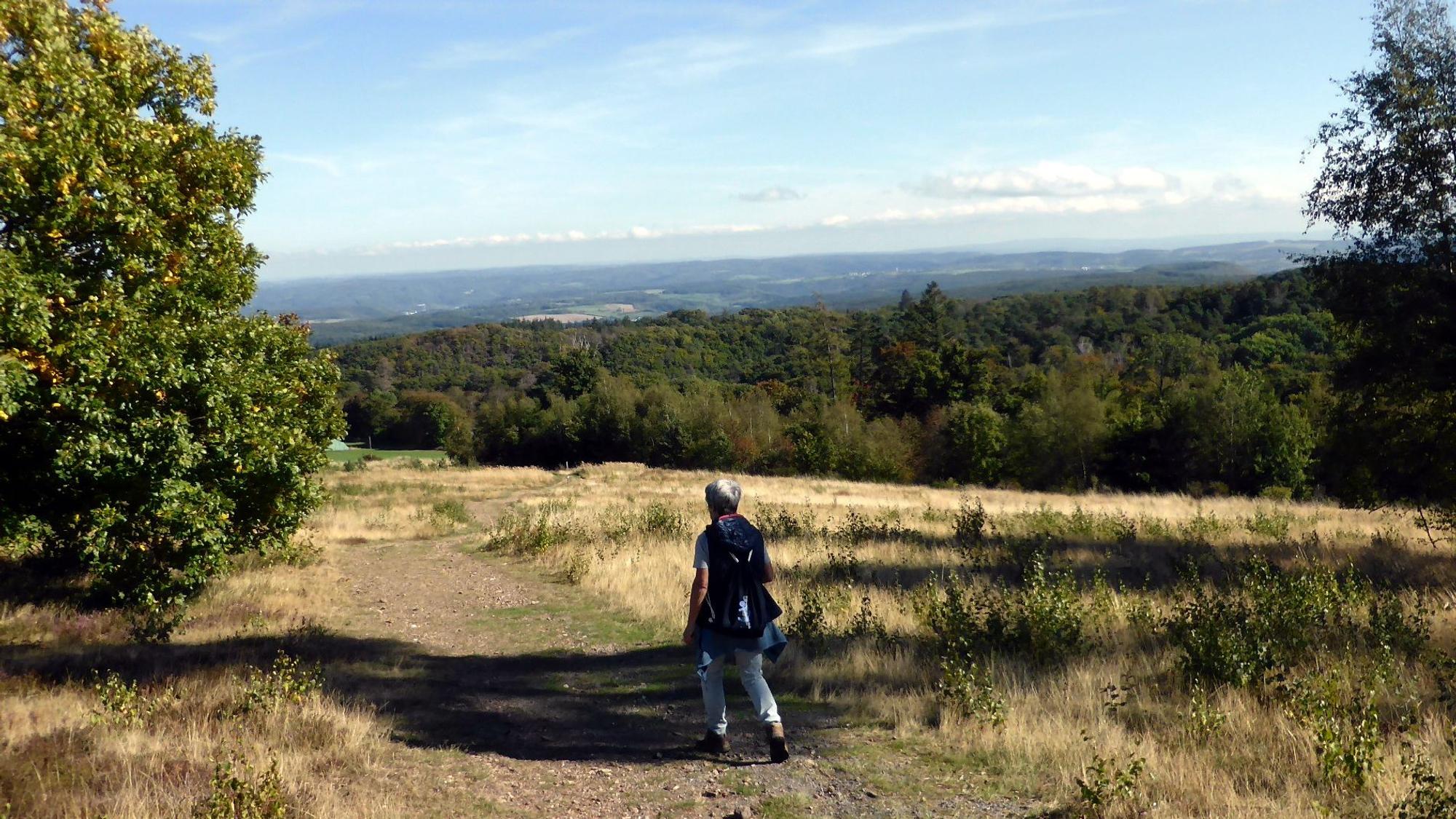Wanderung Vinxtbachtal auf dem Weiselstein