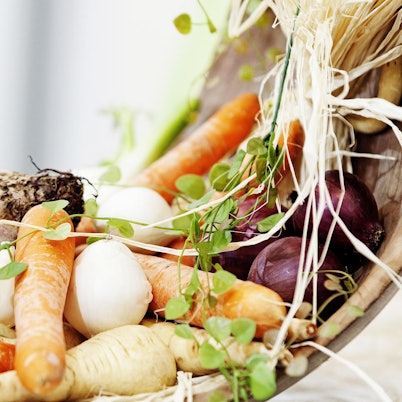 Pastinaken_dpa_62442232