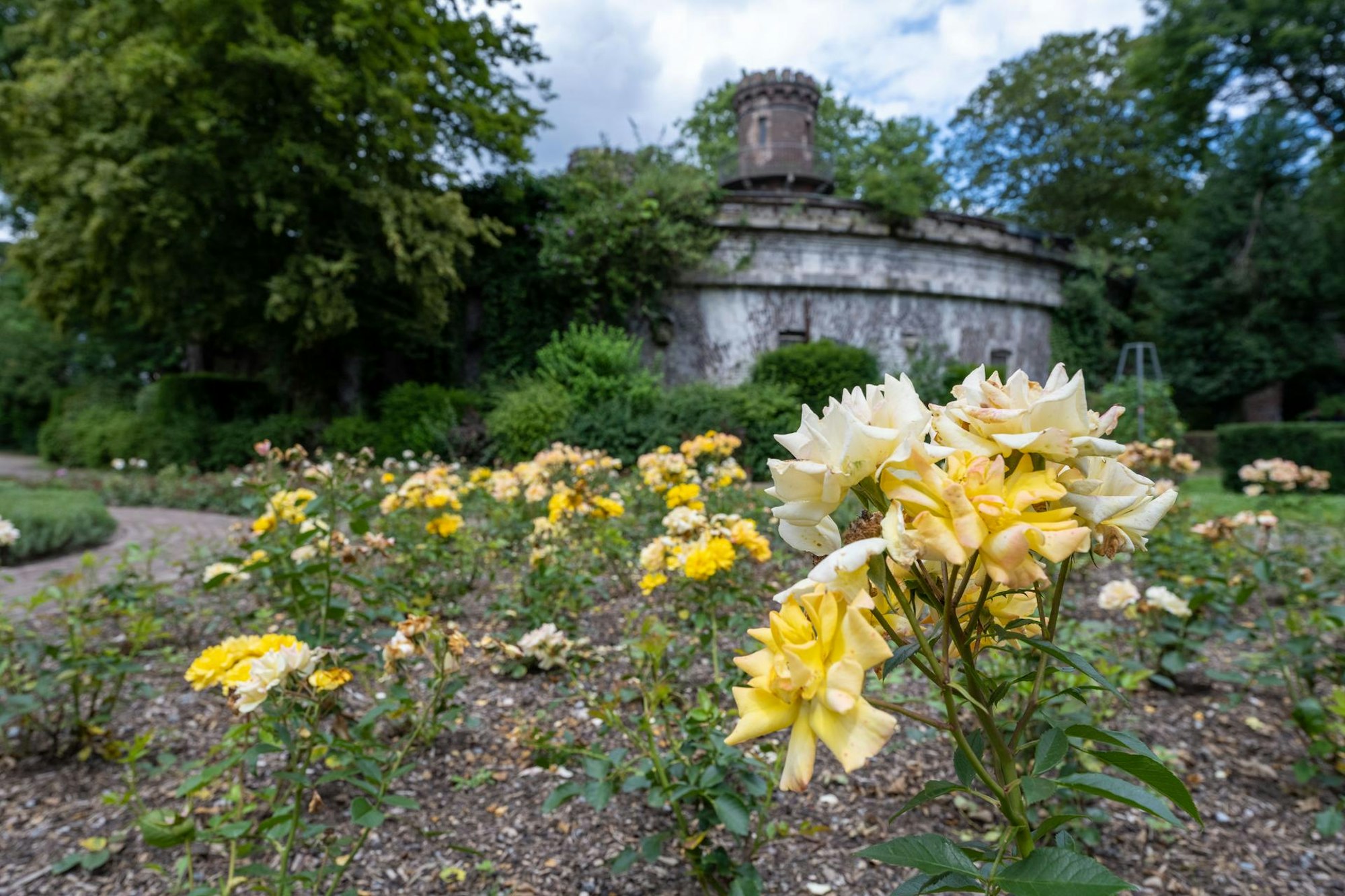 Volksgarten Rosenpark