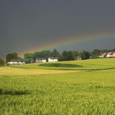 Niederaußem bei Bergheim