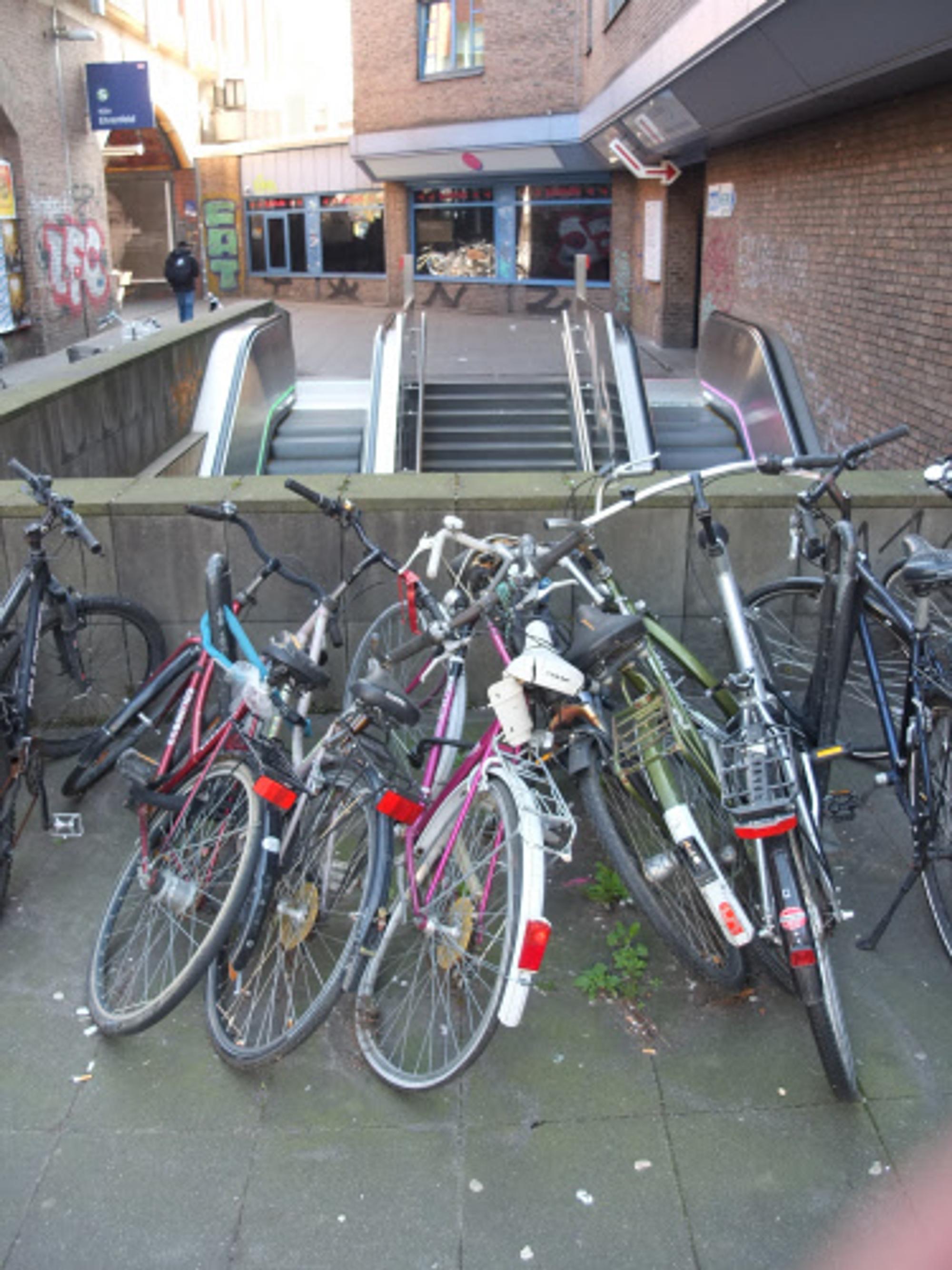 Radleichen Ehrenfeld