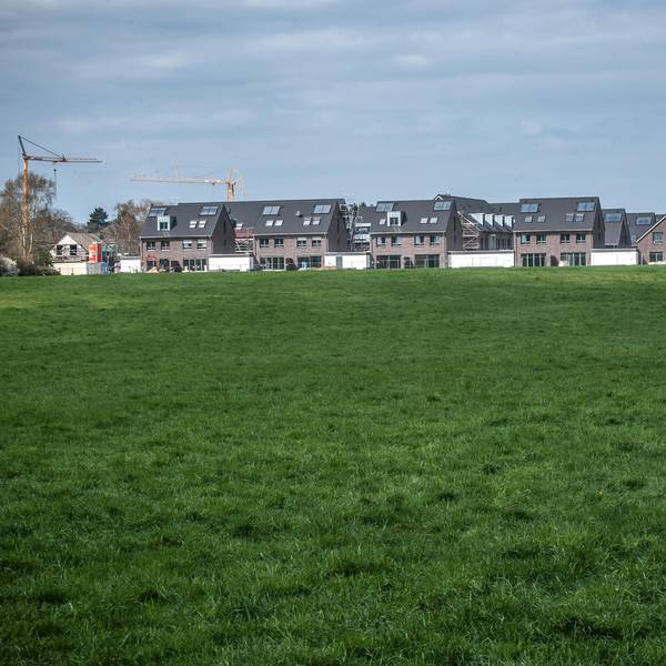 Paeschke Neubau Hitdorf Ost 2021
