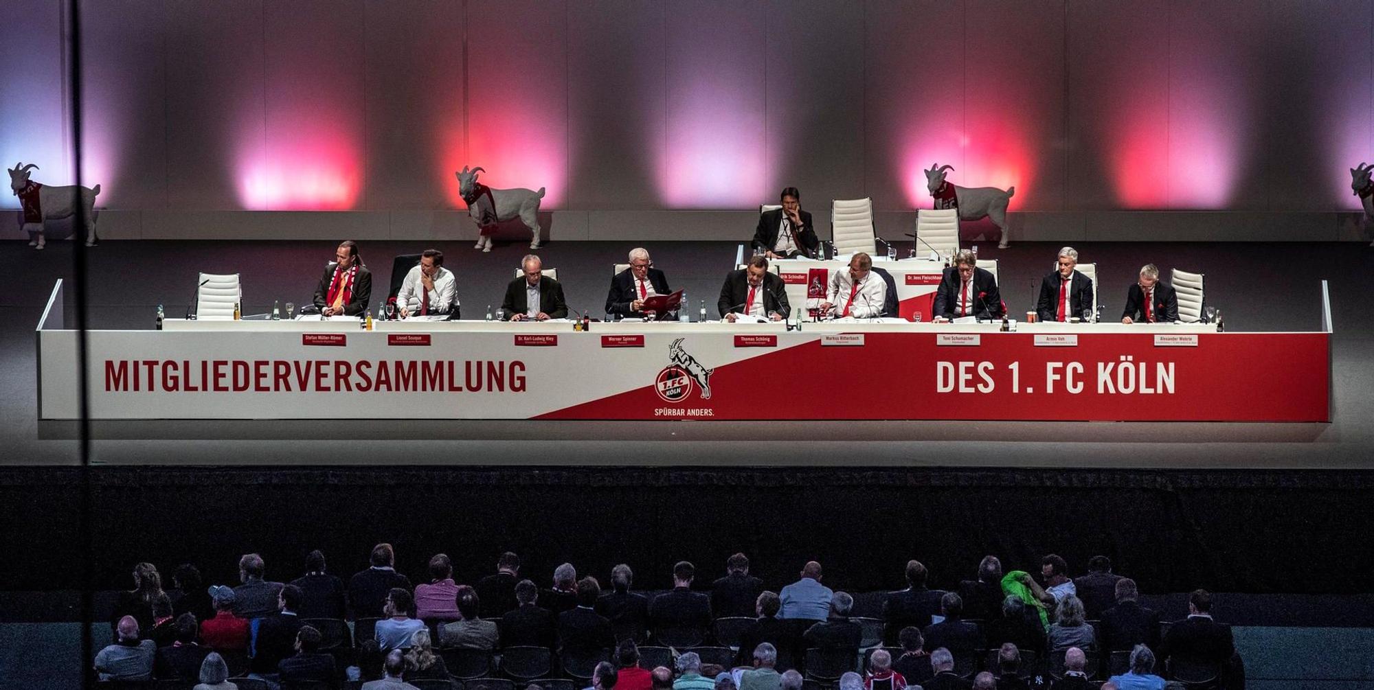 Neuer Inhalt