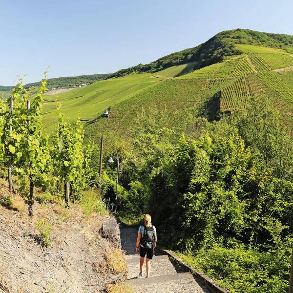 MOSEL15_Wandern auf dem Moselsteig und seinen Seitensprüngen (c) Thomas Sbikowski