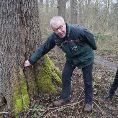 20200203-wm-ker-Kaputter-Wald-01