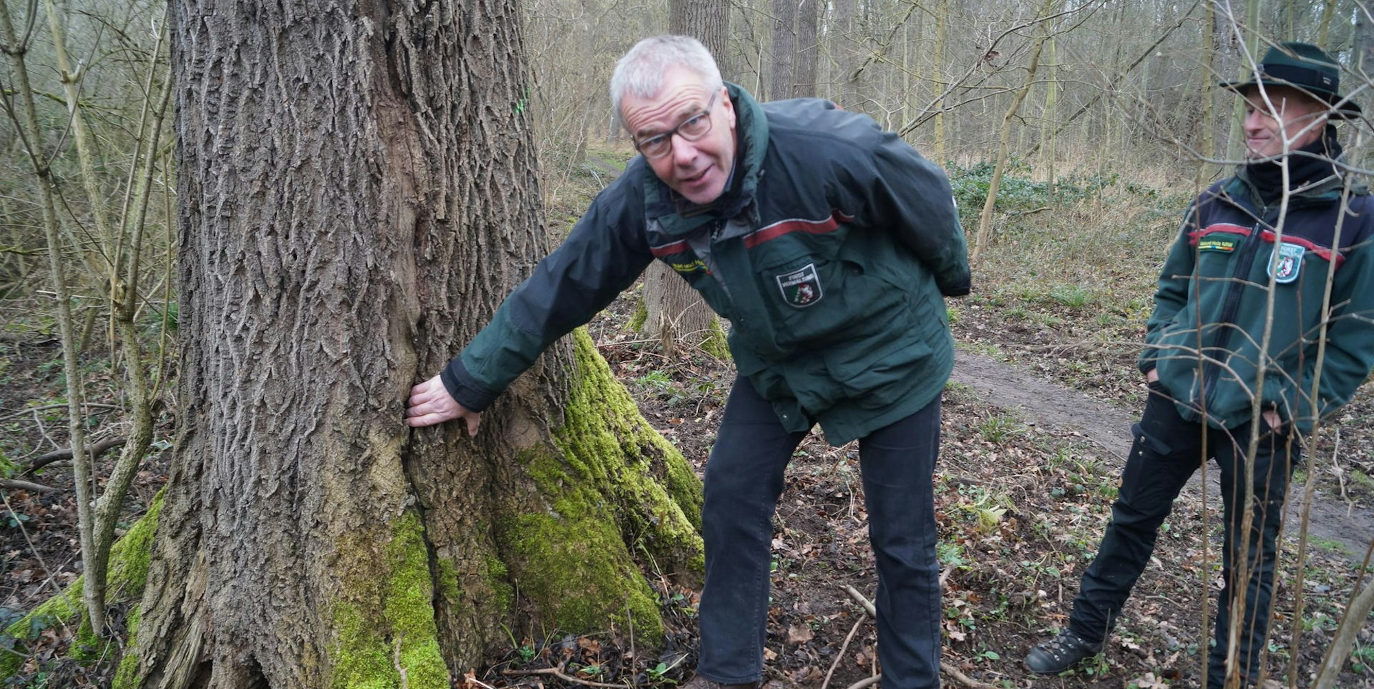 20200203-wm-ker-Kaputter-Wald-01