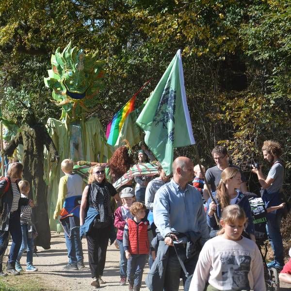 Hambacher Forst 30.9