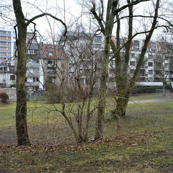 Grünfläche am Rand von Marienburg