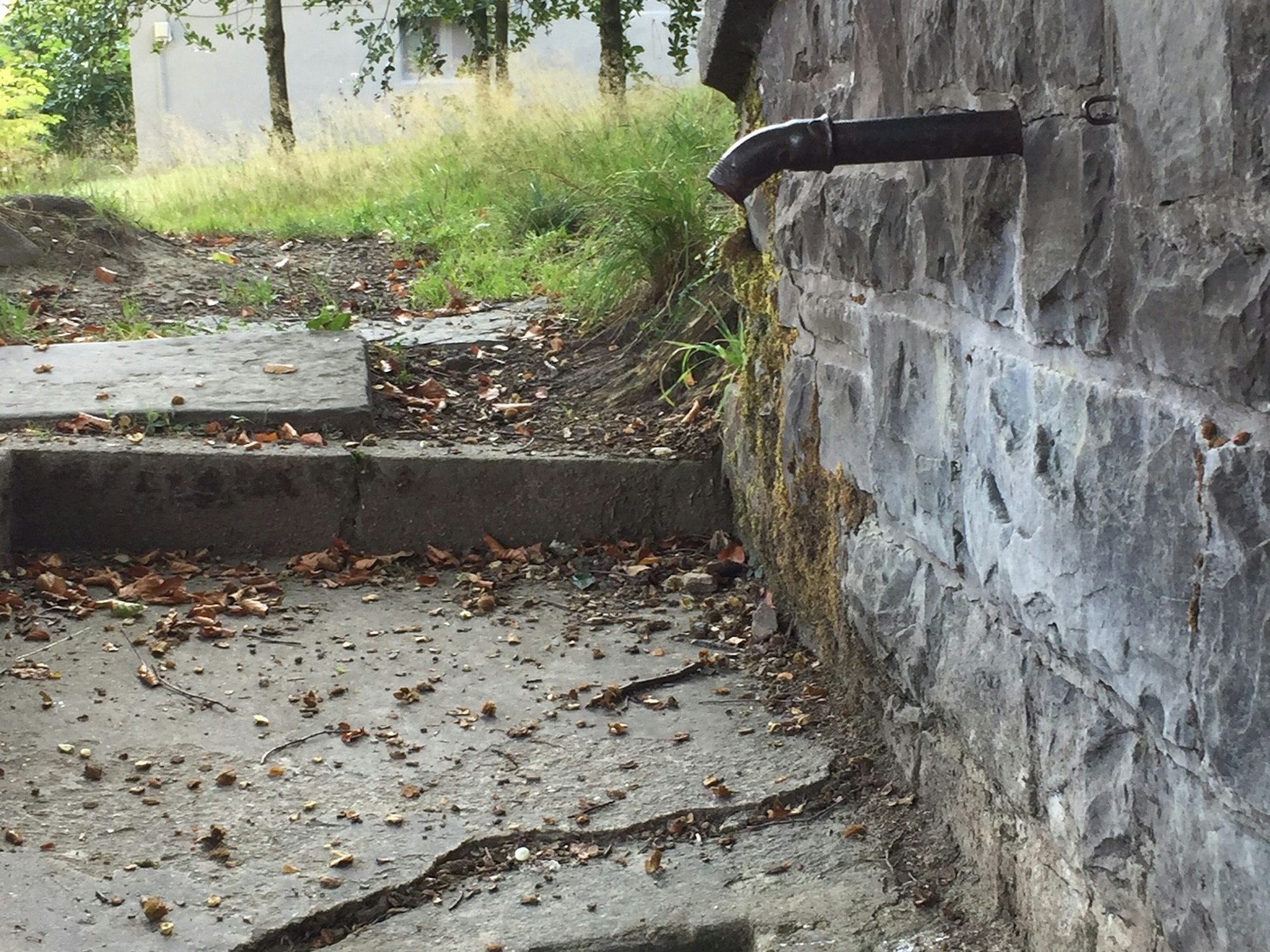 Brunnen_Wiedenest__2