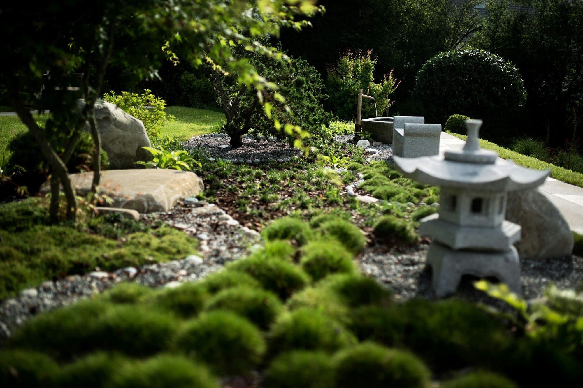 simonwegener_buchinger-wilhelmi_2016_18 Teegarten