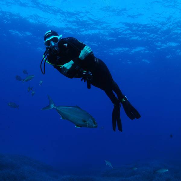Taucher Mallorca dpa 2012