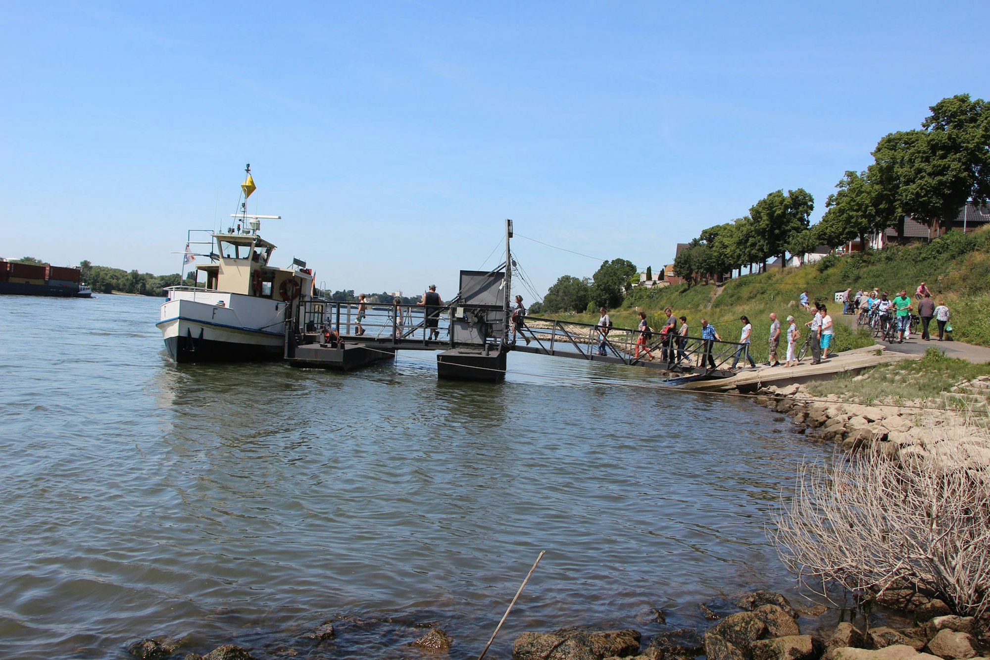 MDS-KSTA-2015-06-08-IMG_0988