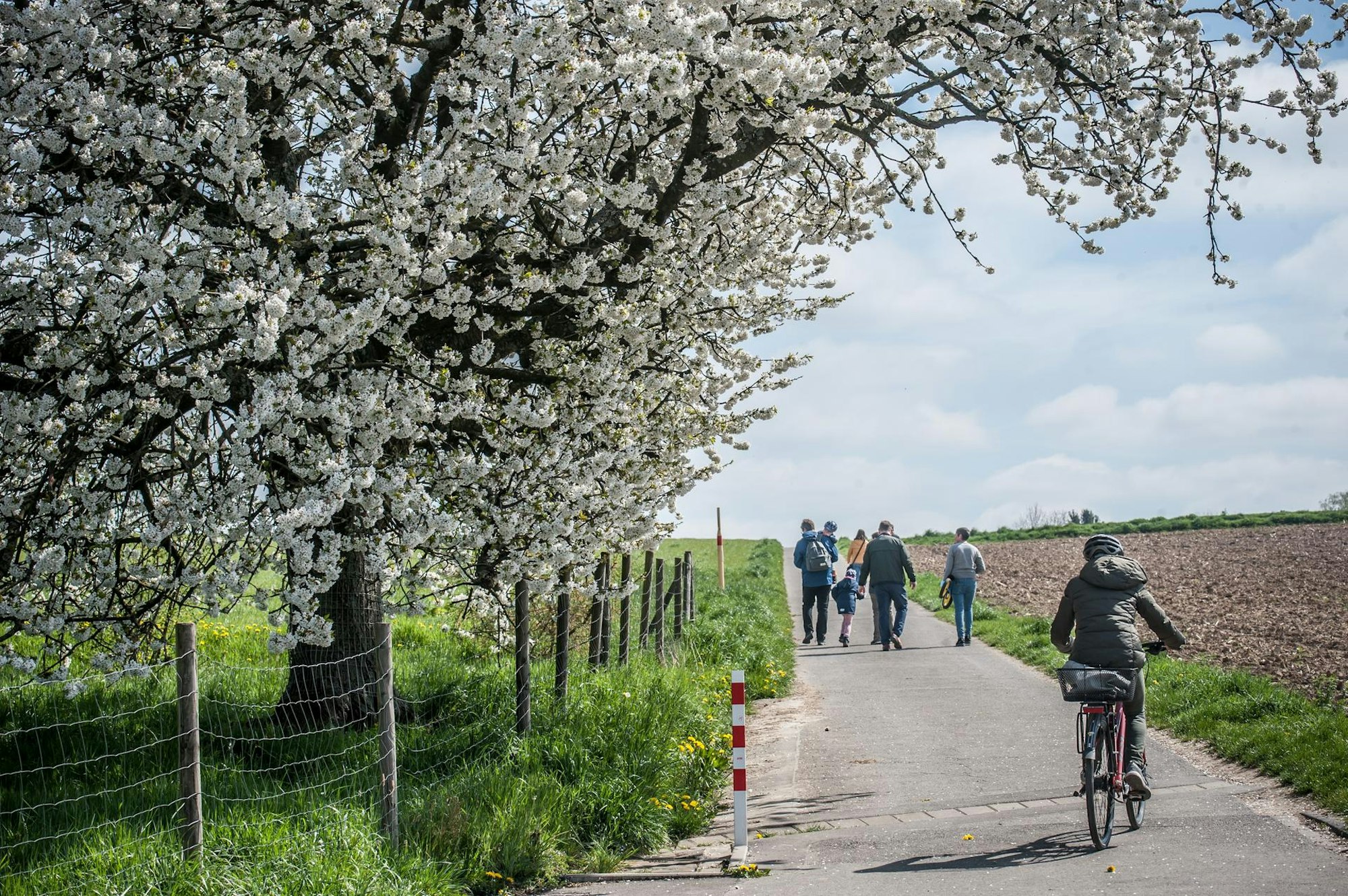 obstweg-leichlingen_rar_rle_04152022ALF_5005