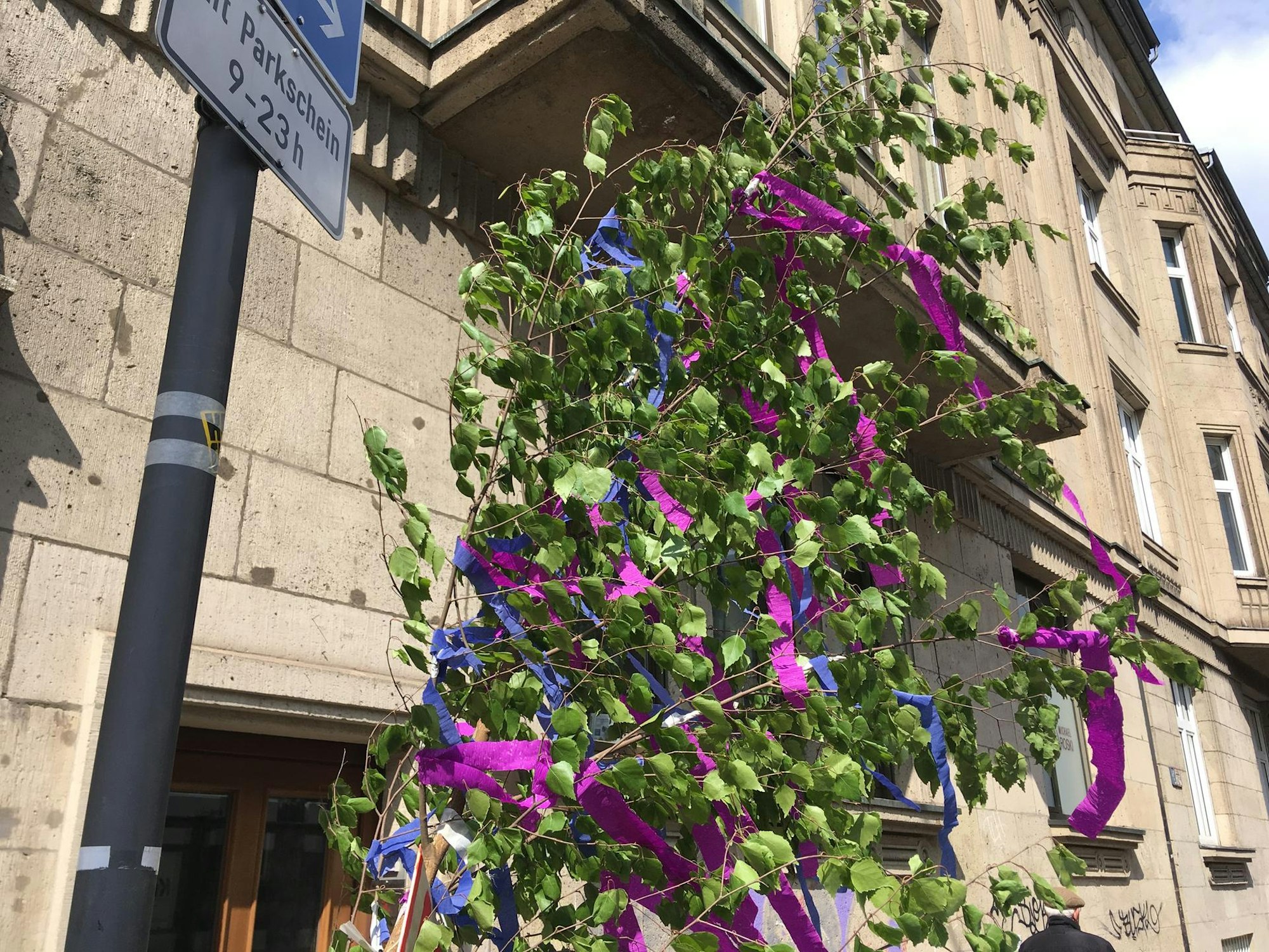 maibaum köln