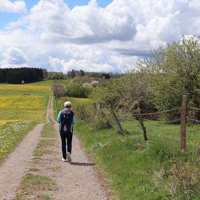 Wanderung Heideheimat Höhenweg