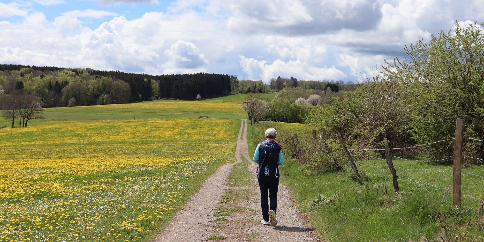 Wanderung Heideheimat Höhenweg