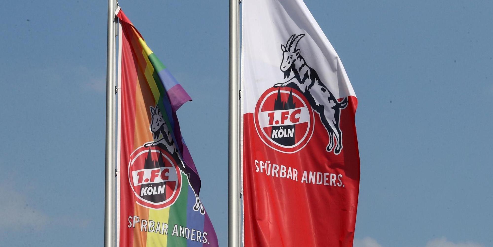Fahnen 1. FC Köln Symbolbild