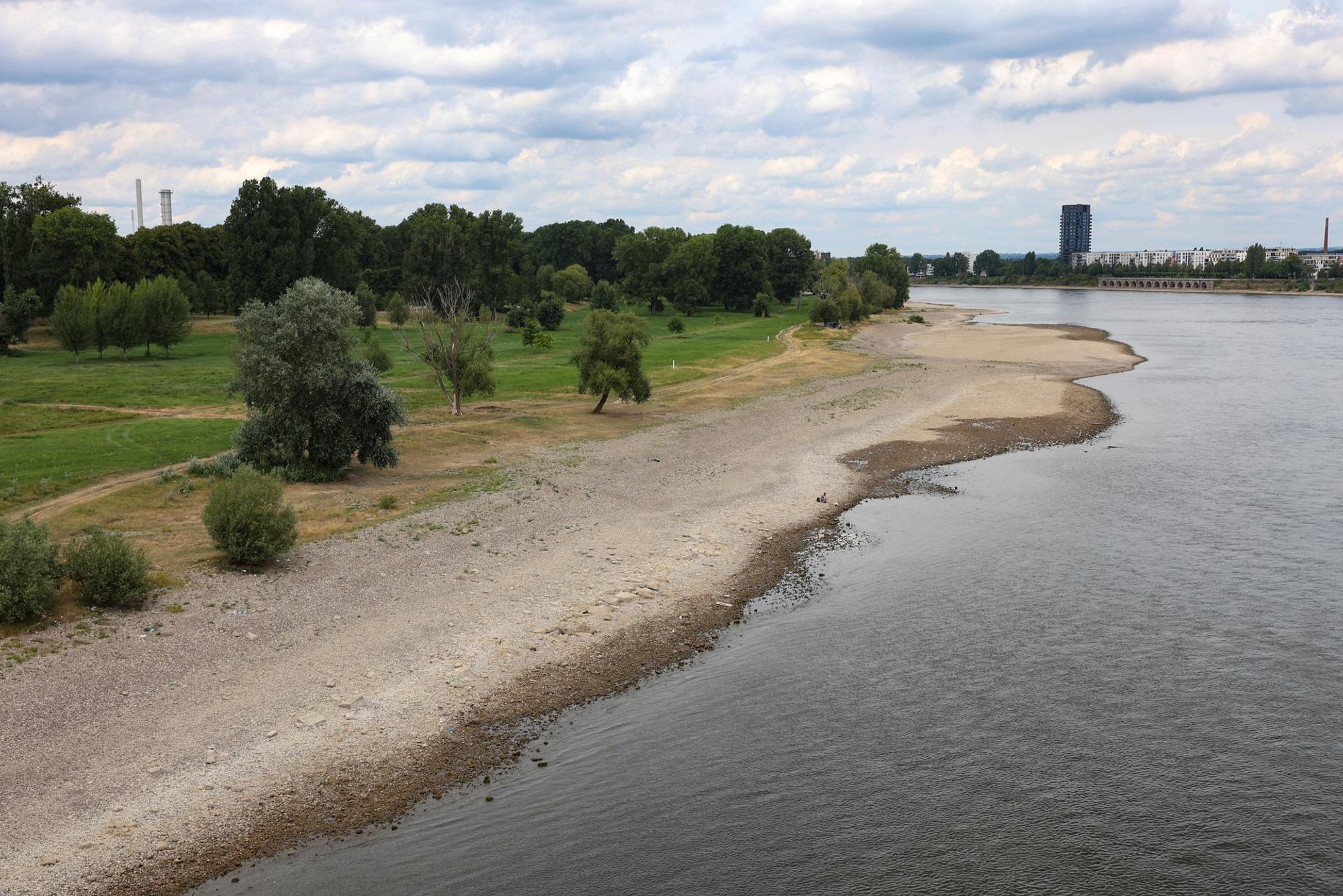 Niedrigwasser rhein 2