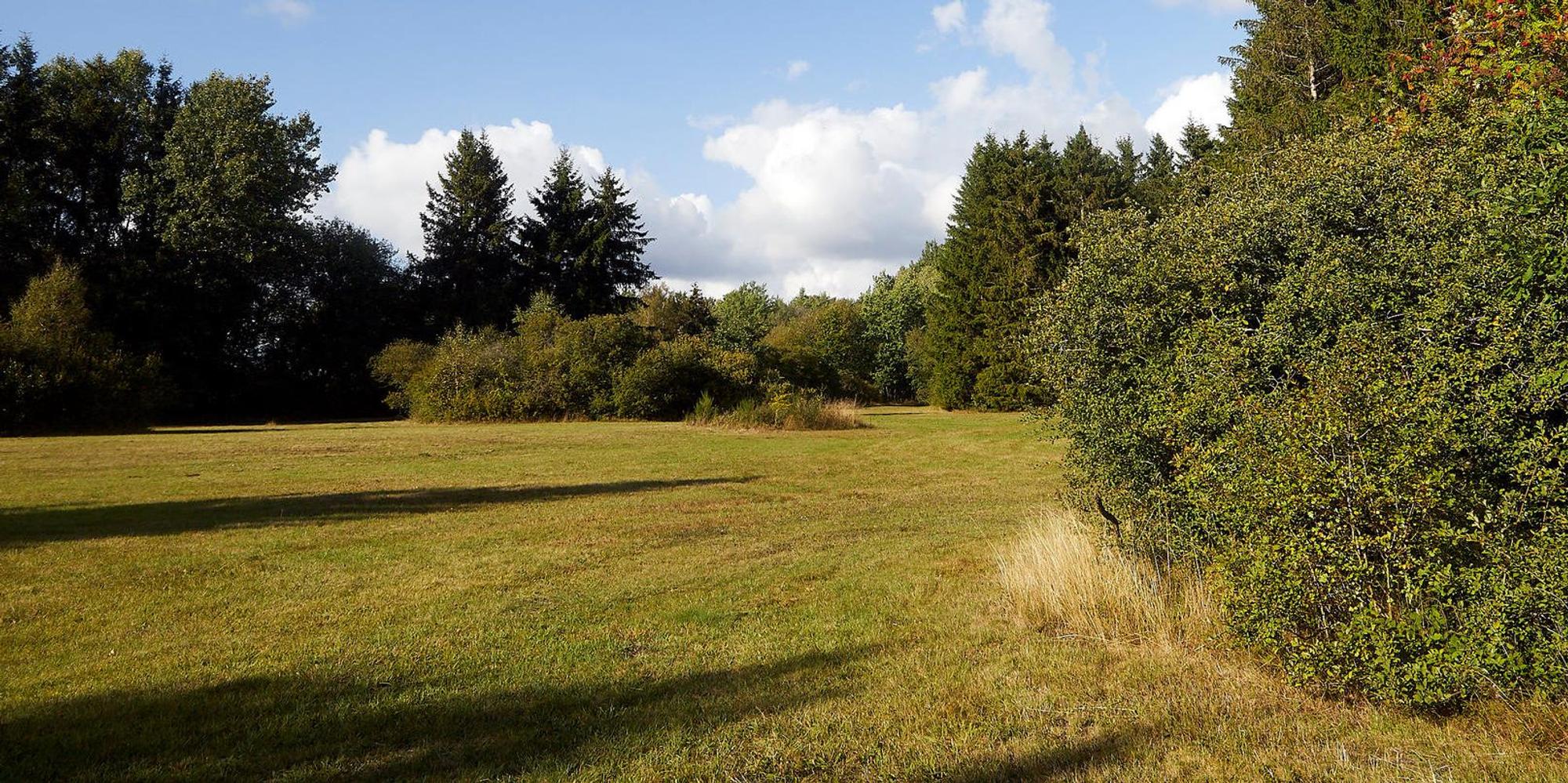 Kall Krischer_002