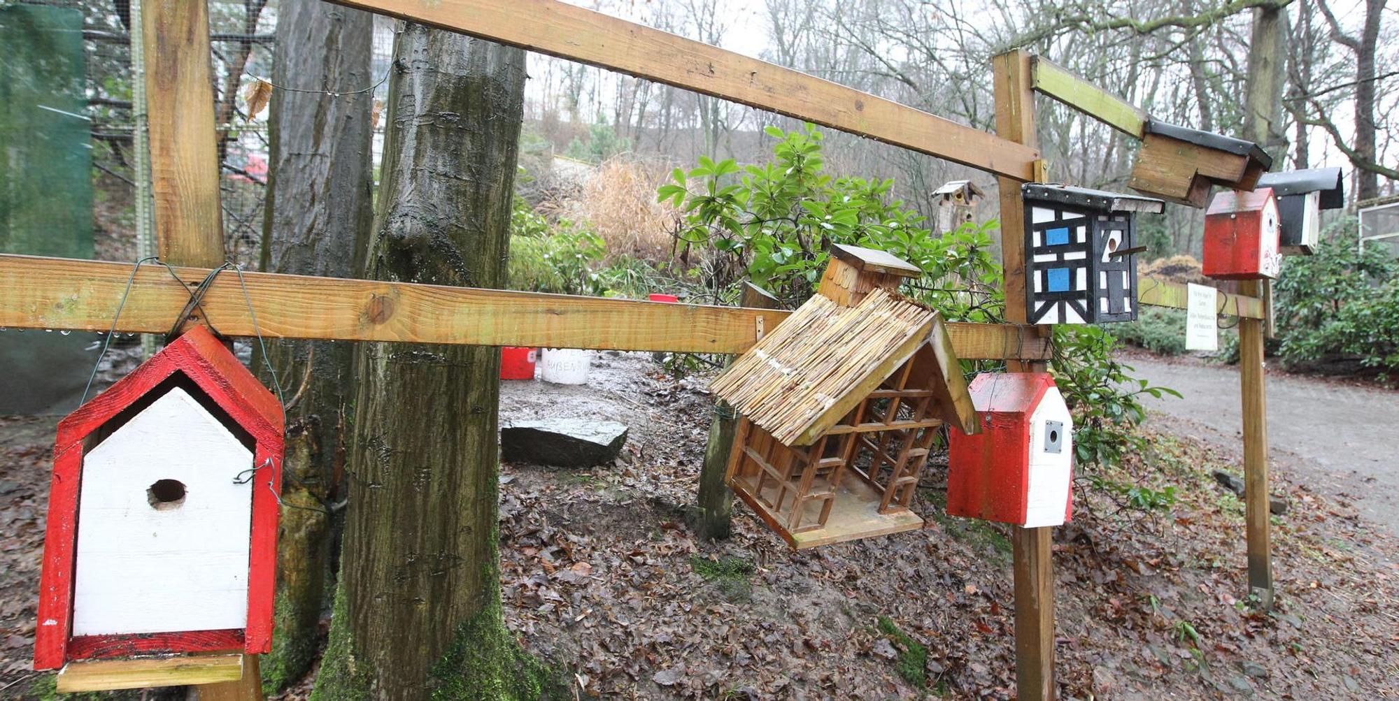 wildvogelstation1