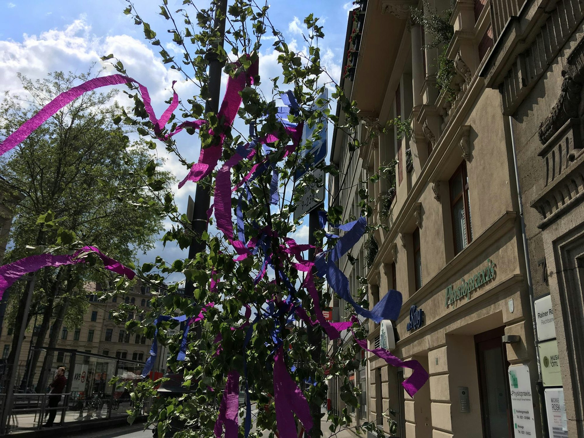 maibaum