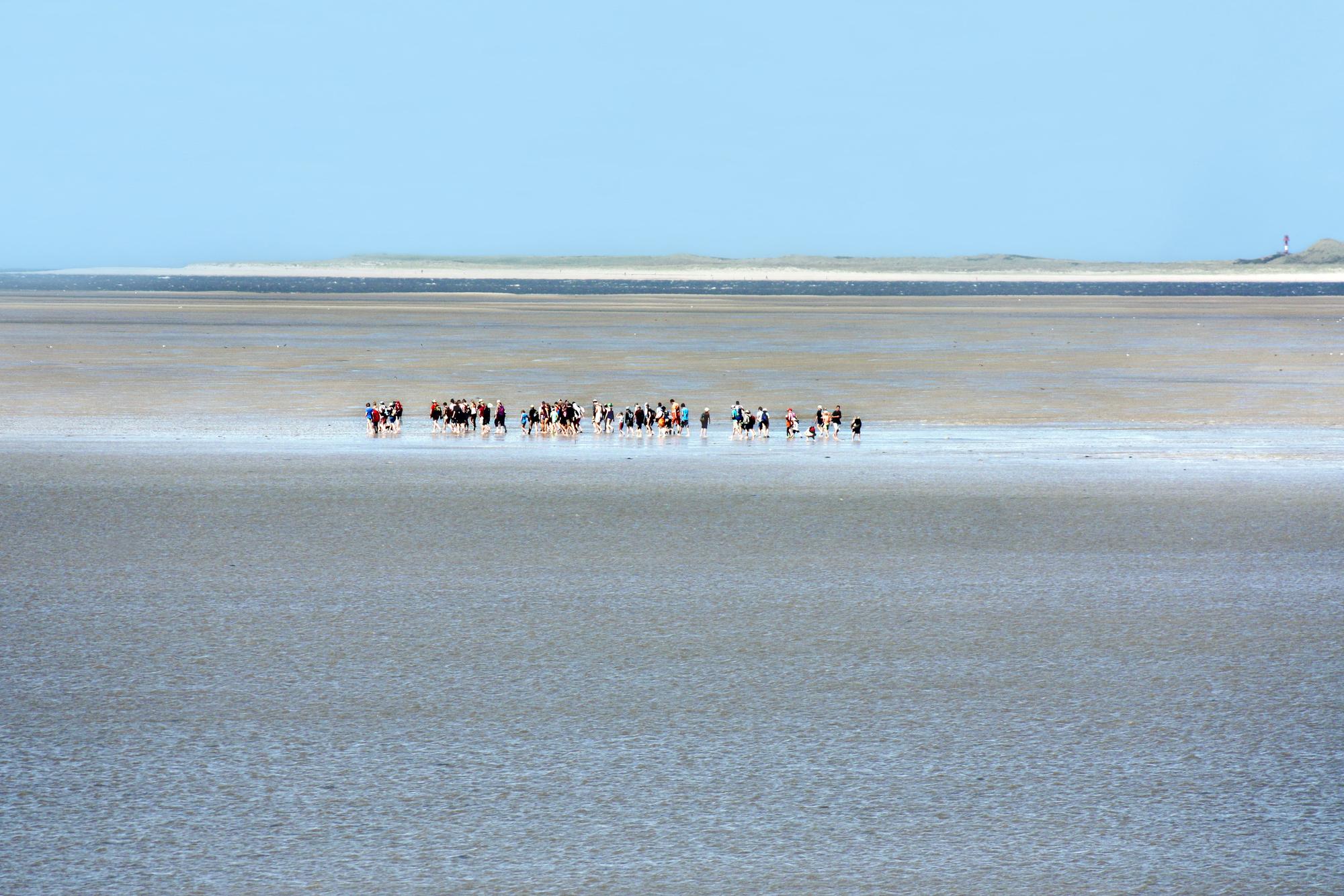 nordsee_insel_dpa (4)