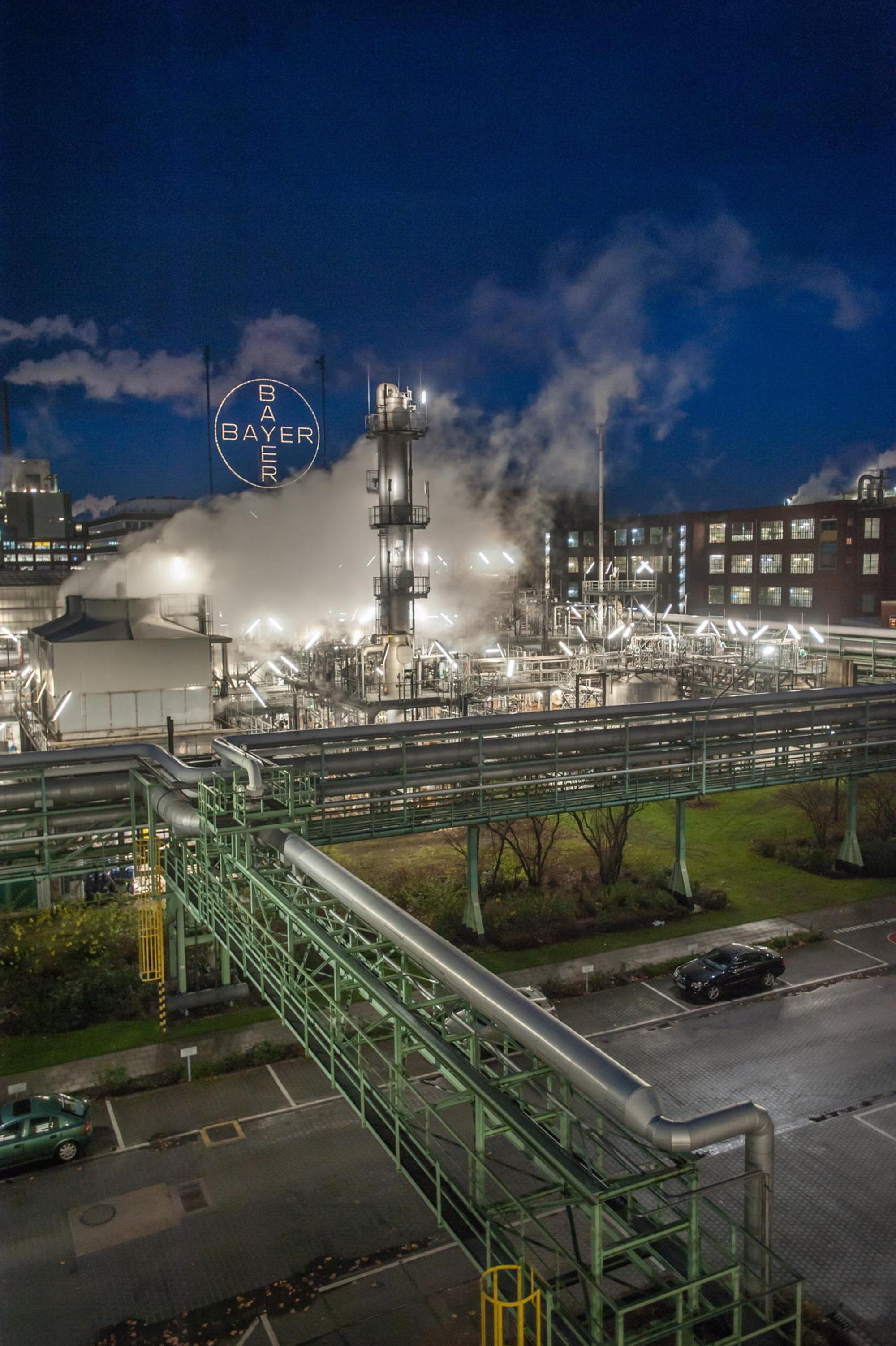 Bayer-Kreuz (6)