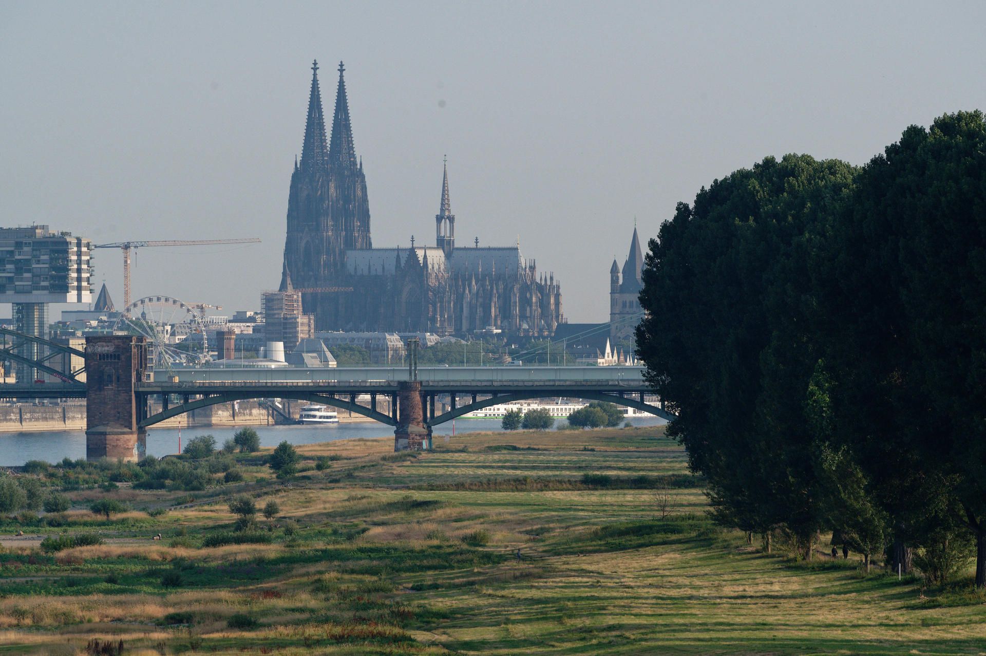 Hitze in Köln Pollerwiesen dpa