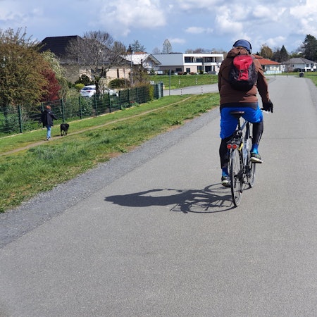 Rheindamm_Niederkassel