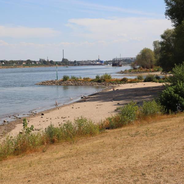 Wesseling Badeunfall-Rhein