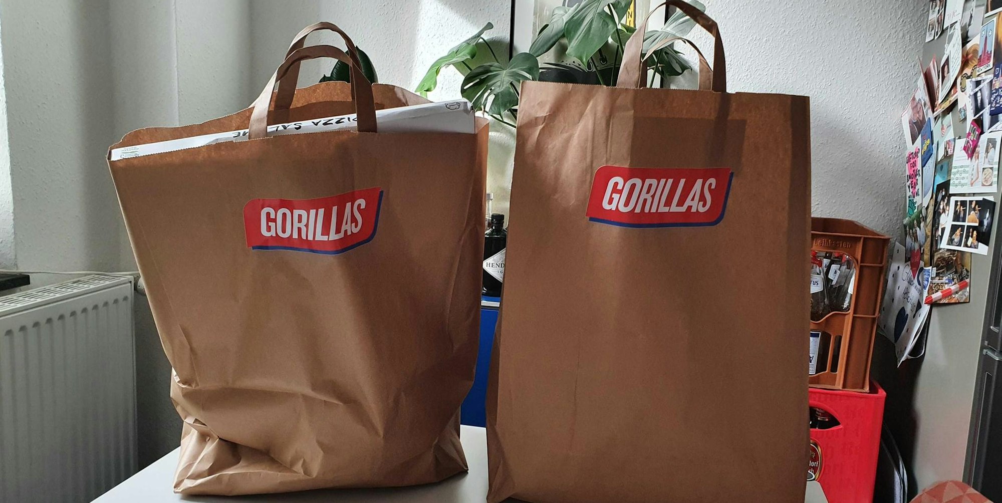 Gorillas 3
