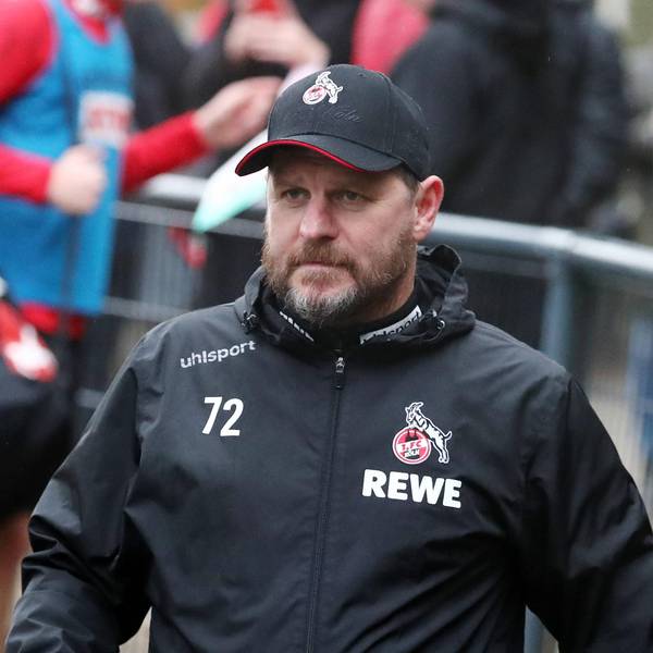 baumgart im regen
