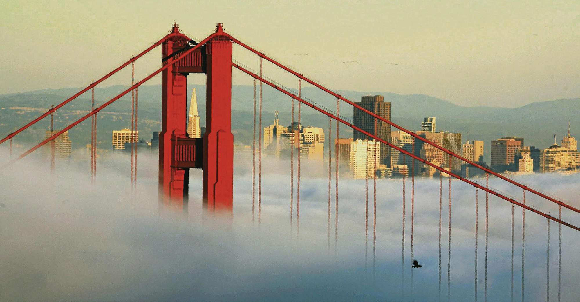 san francisco
