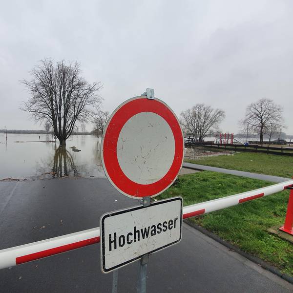 Neuer Inhalt