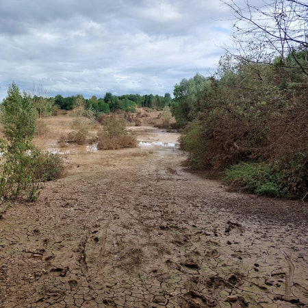 Pressebild_Blick gen Süden in die Kiesgrube Türnich