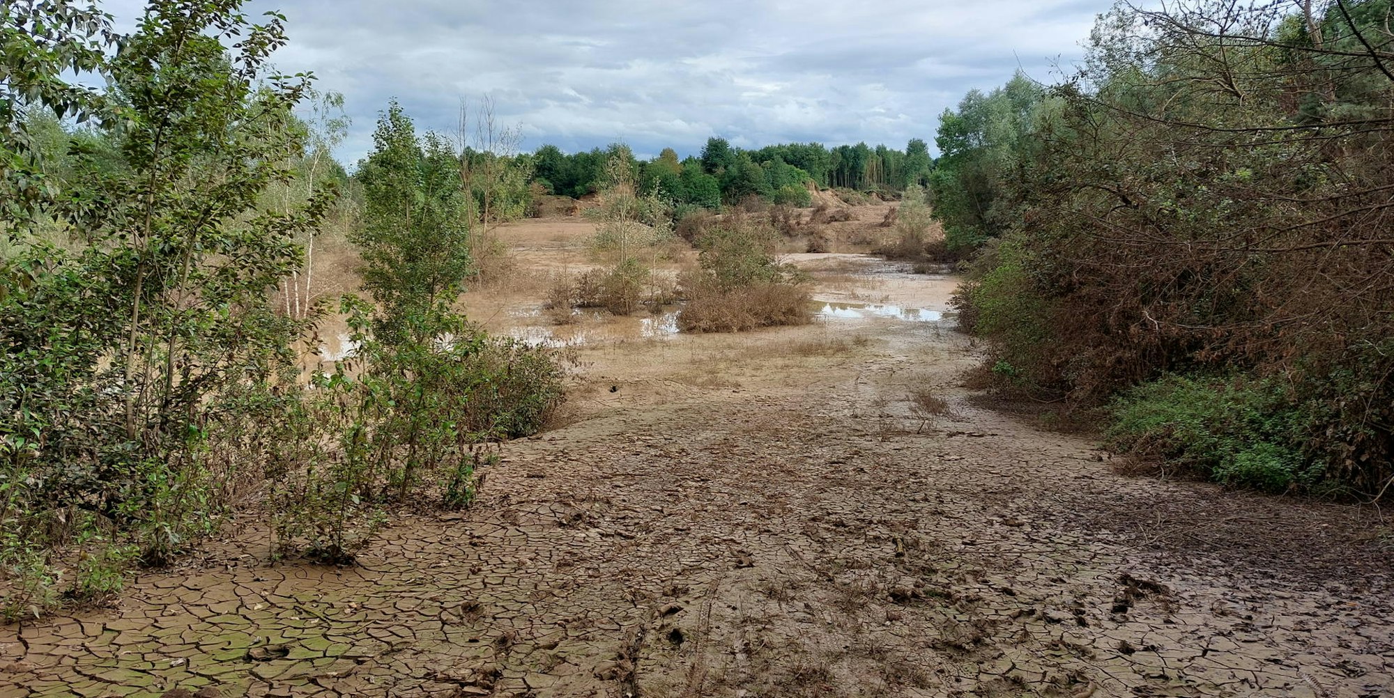 Pressebild_Blick gen Süden in die Kiesgrube Türnich