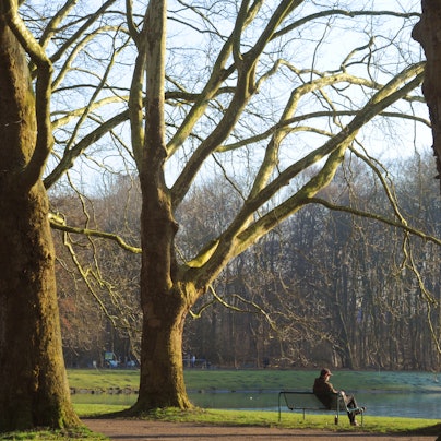 180216Grüngürtel10