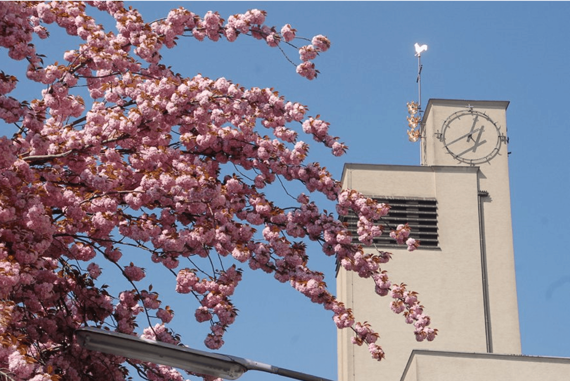 Kirchen Drei Königen Bickendorf