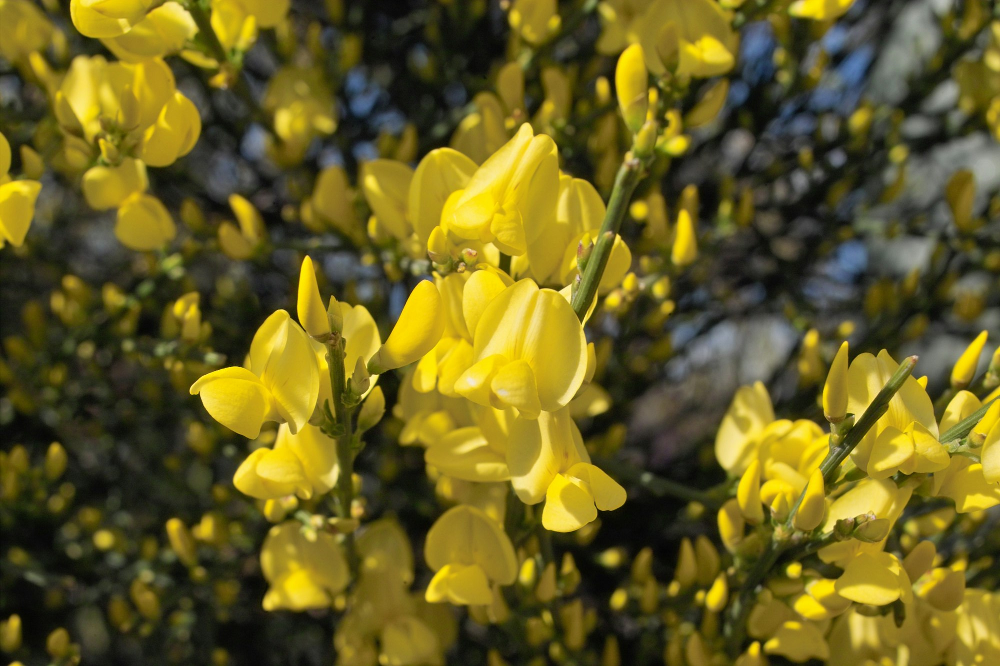 376612_original_R_K_B_by_Karl-Heinz Liebisch_pixelio.de (2)