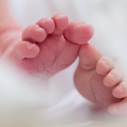 MDS-KR-2020-08-25-71-164361676